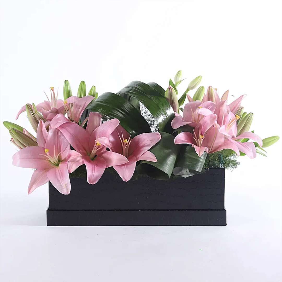 Delicate Pink Asiatic Lilies