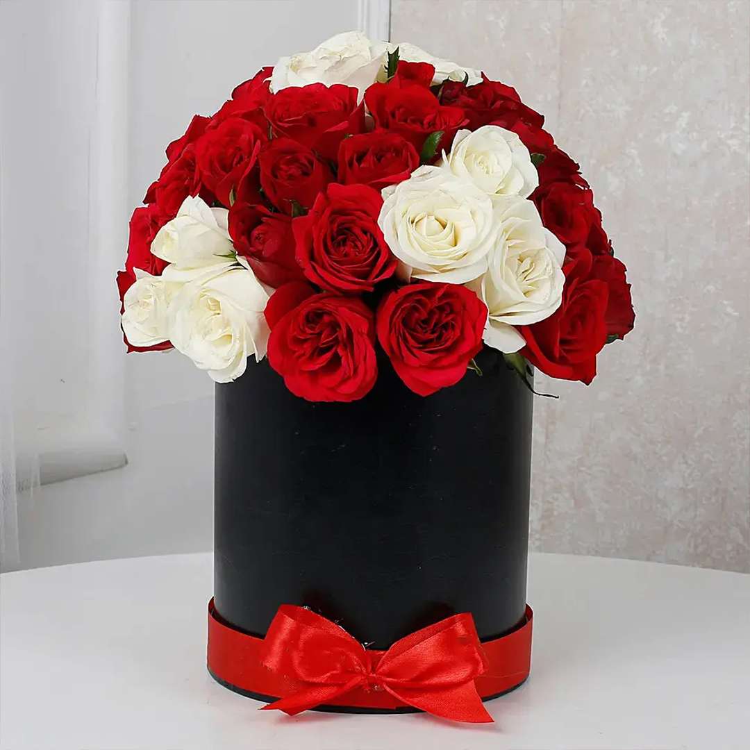 White & Red Roses Floral Beauty